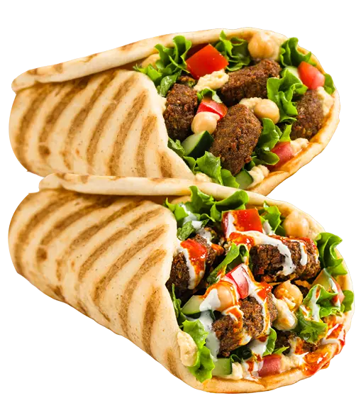 gyro-new-2